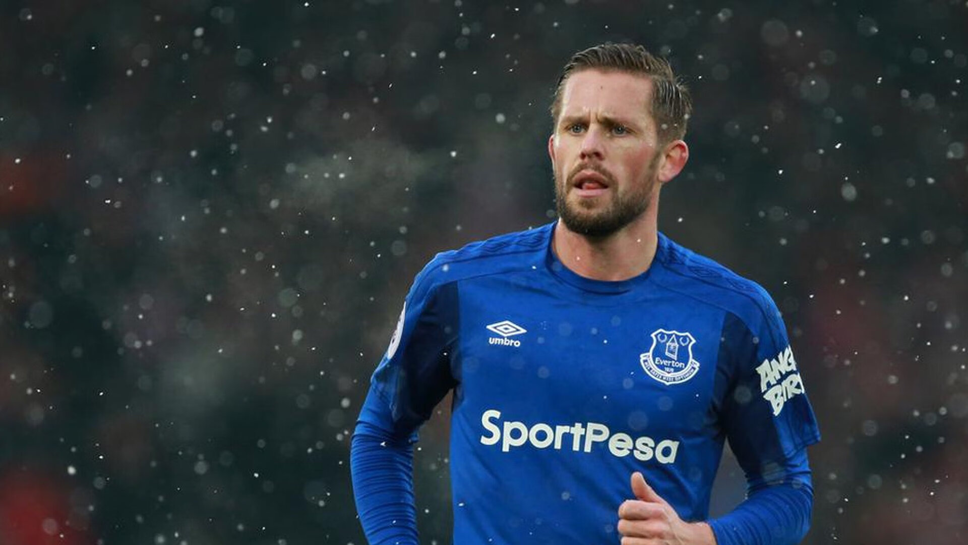 从岌岌可危到柳暗花明，海牛保级只剩最后一步，海牛濒危等级