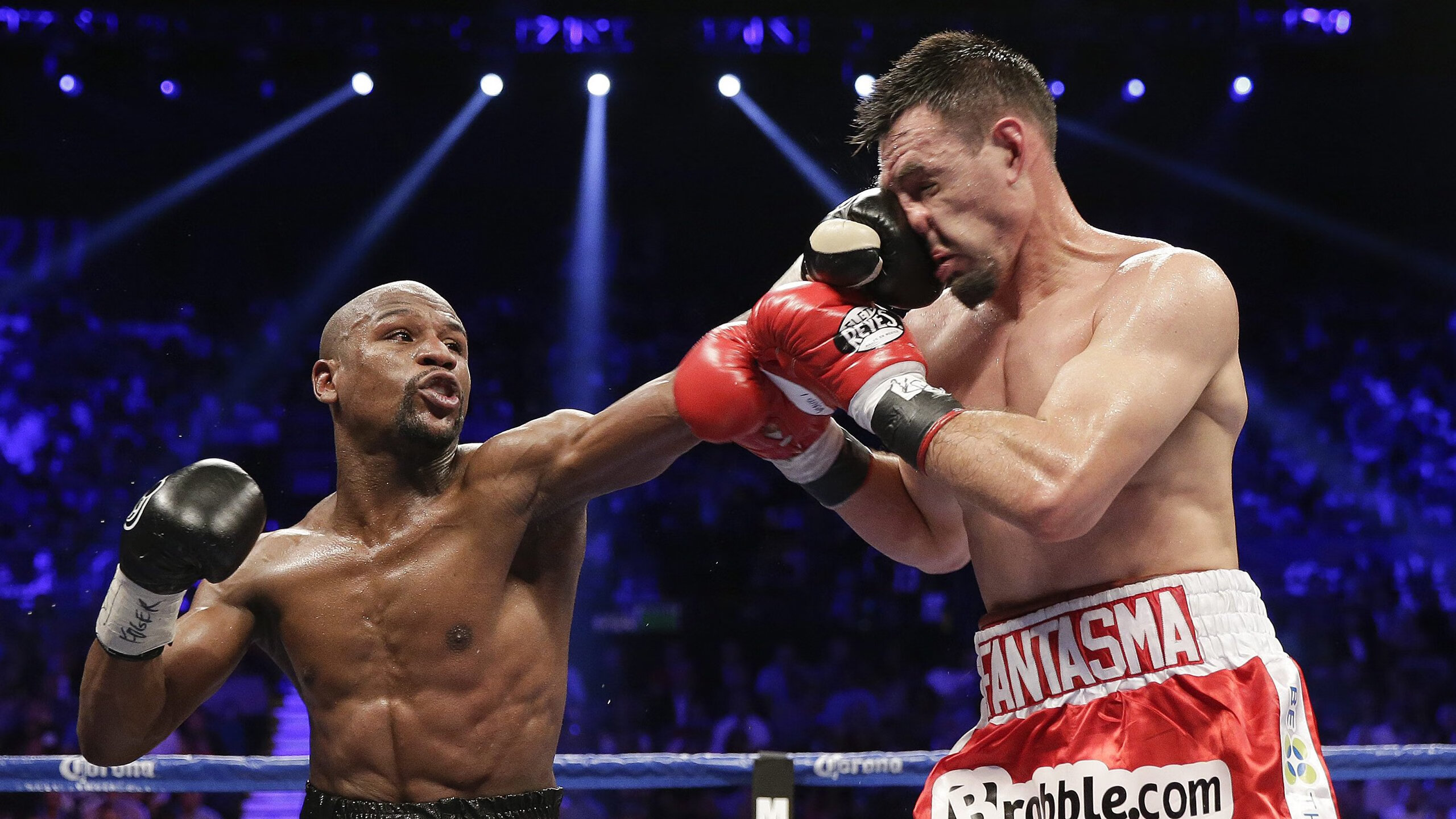 赛事期间观众行为调研为未来服务优化提供依据，比赛中观众的作用